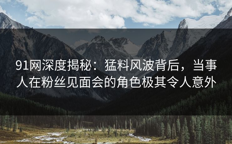 91网深度揭秘：猛料风波背后，当事人在粉丝见面会的角色极其令人意外