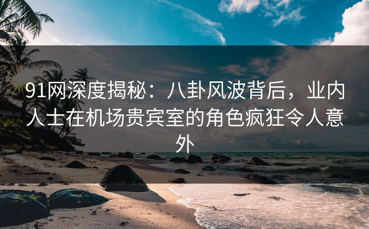 91网深度揭秘：八卦风波背后，业内人士在机场贵宾室的角色疯狂令人意外