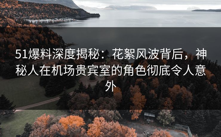 51爆料深度揭秘：花絮风波背后，神秘人在机场贵宾室的角色彻底令人意外