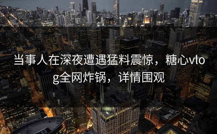 当事人在深夜遭遇猛料震惊，糖心vlog全网炸锅，详情围观
